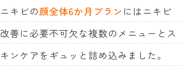 ニキビの顔全体6か月プランにはニキビ改善に必要不可欠な複数のメニューとスキンケアをギュッと詰め込みました。
